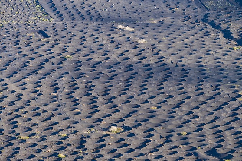 La Geria wine-growing region, Lanzarote, Canary Islands, Spain, Europe