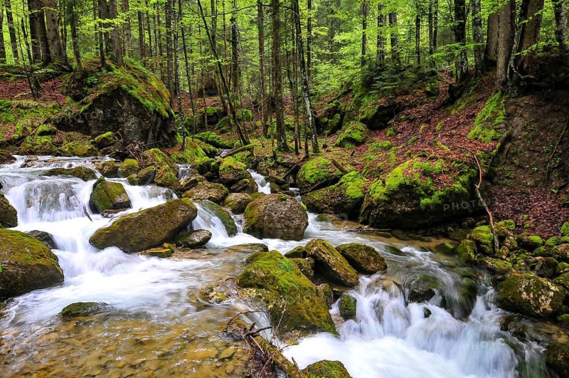 Long exposure of a waterfall on the Steigbach in the Steigbachtobel near Immenstadt in Oberallgäu, Bavaria, Germany, Europe