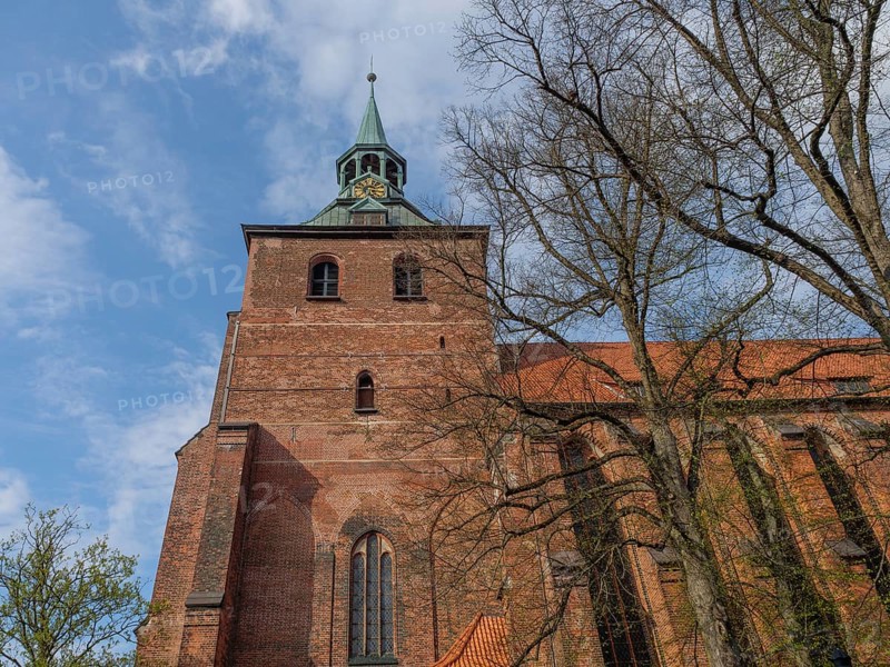 Impressive Gothic-style brick church tower surrounded by trees under a partly cloudy sky, lüneburg, germany