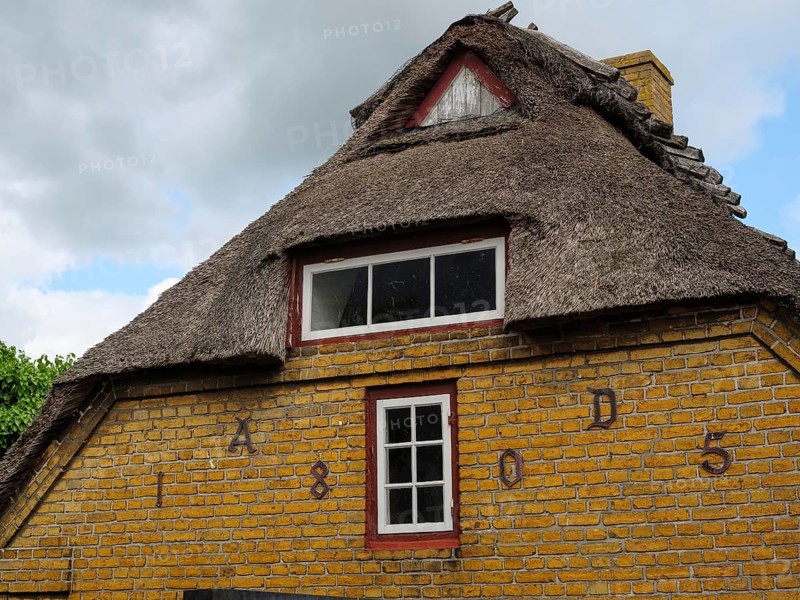 Traditional house with thatched roof and yellow bricks in a rural setting, Maasholm, Schleswig-Holstein, Germany, Europe