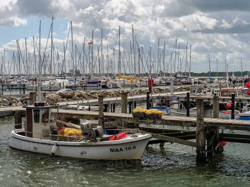A small boat in the harbour, surrounded by many masts and clouds in the sky, Maasholm, Schleswig-Holstein, Germany, Europe