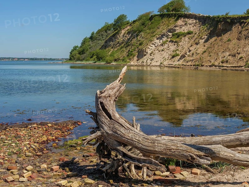 A scenic lakeshore with a piece of driftwood in the foreground and steep cliffs in the background, Flensburg, SChleswig-Holstein, Germany, Europe