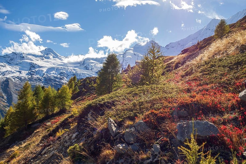 Autumn alpine landscape with snow-covered mountains, green trees and blue sky with clouds, Saas Fee, Switzerland, Europe