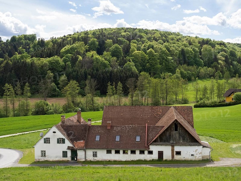 Farmstead in a meadow at the edge of a forest, near Breitenfeld, Styria, Austria, Europe