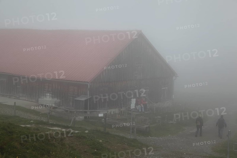 Alpine pasture in the fog with hikers