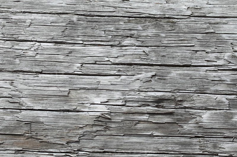 Driftwood on the Pacific coast