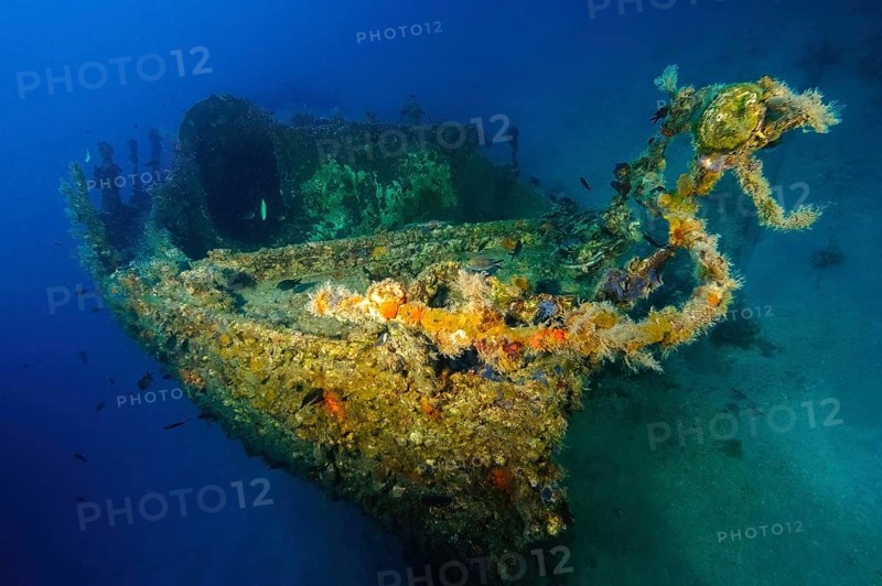 View of front bow of small shipwreck partly overgrown with yellow cluster anemones (Parazoanthus axinellae) off east coast of Majorca, Mediterranean Sea, Balearic Islands, Majorca, Spain, Europe