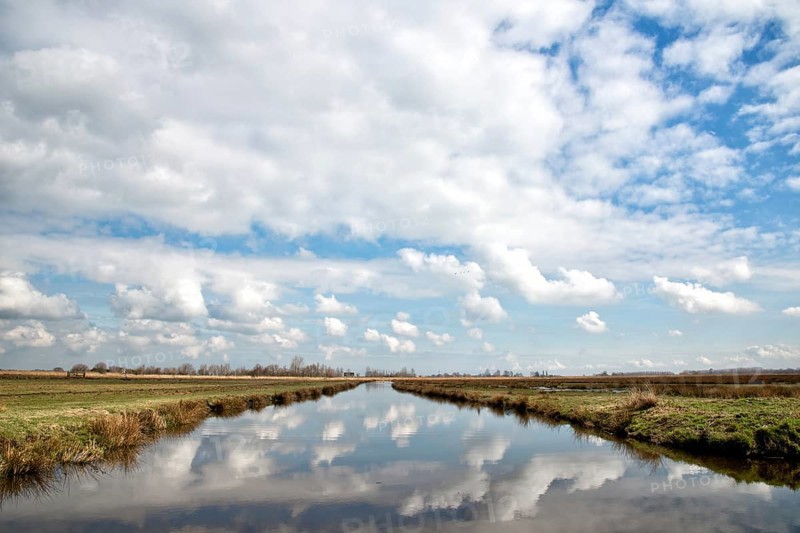 View of a Field in Zaanse Schans, Holland