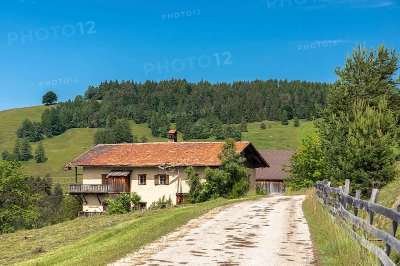 Ruins of a farmhouse near Deutschnofen, South Tyrol