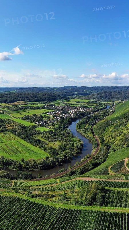 Wiltinger Saarbogen. The river winds through the valley and is surrounded by vineyards and green forests. Kanzem, Rhineland-Palatinate, Germany, Europe