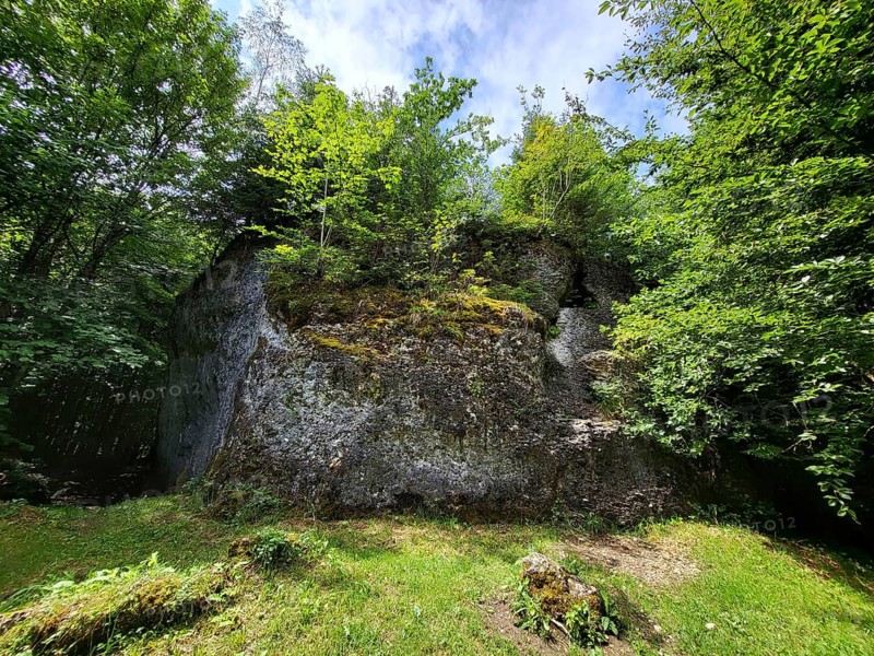 The Dengelstein (also: Denkelstein) is a boulder in the Kempten Forest. Betzenried, Durach, Kempten, Bavaria, Germany, Europe
