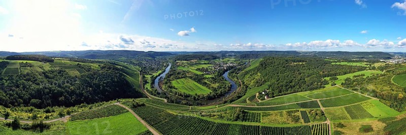 Wiltinger Saarbogen. The river winds through the valley and is surrounded by vineyards and green forests. Kanzem, Rhineland-Palatinate, Germany, Europe