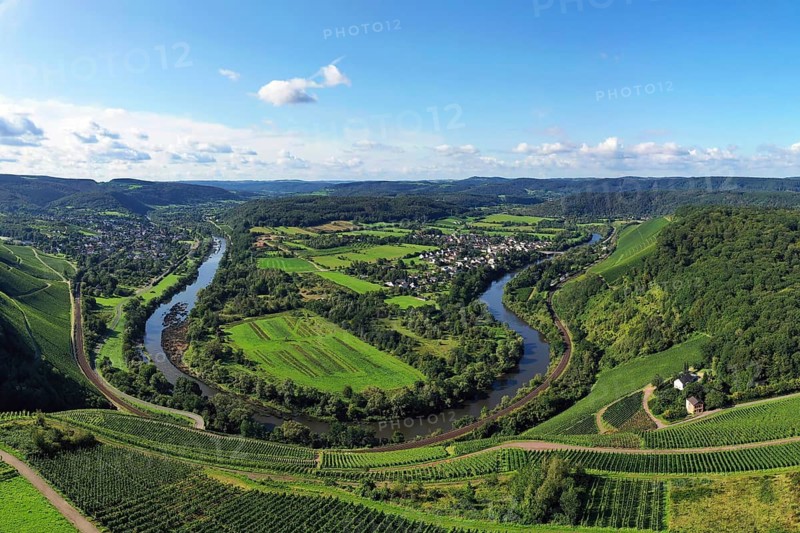 Wiltinger Saarbogen. The river winds through the valley and is surrounded by vineyards and green forests. Kanzem, Rhineland-Palatinate, Germany, Europe
