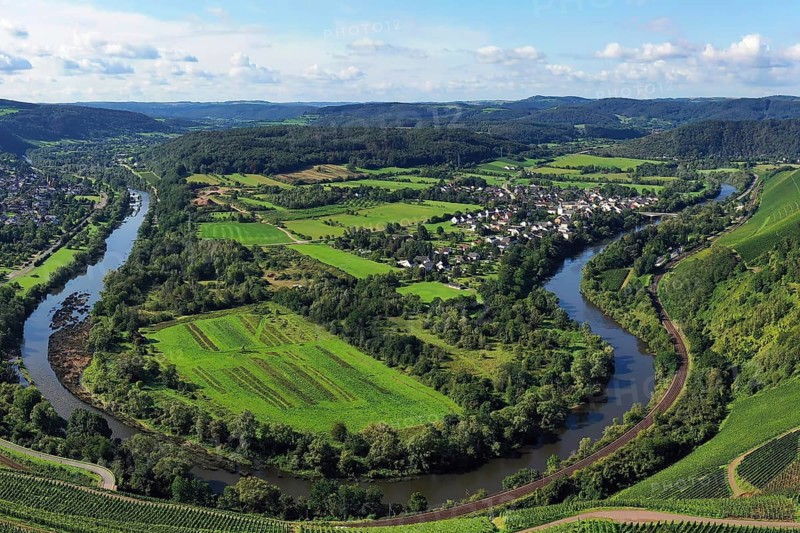 Wiltinger Saarbogen. The river winds through the valley and is surrounded by vineyards and green forests. Kanzem, Rhineland-Palatinate, Germany, Europe