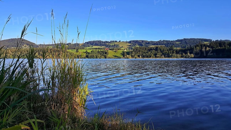Rottachsee near Sulzberg