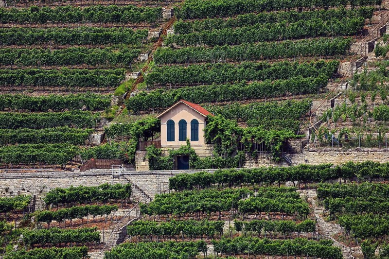 Mundelsheim am Neckar a wine region near Stuttgart