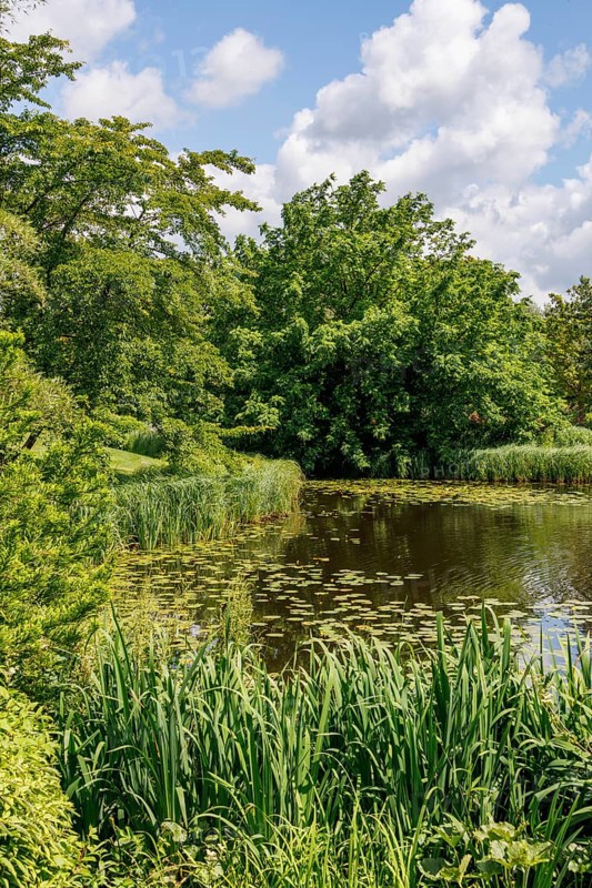 Tranquil pond and lush green trees under a blue, cloudy sky, bad zwischenahn, Lower Saxony, Germany, Europe