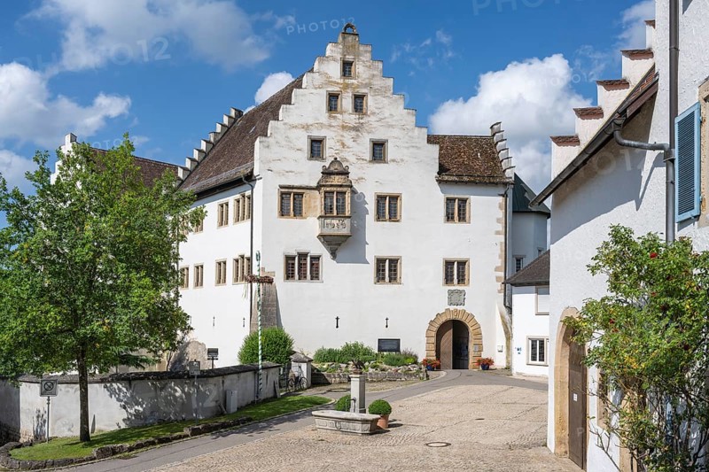 Flower field Castle in Hegau, Tengen, district of Constance, Baden-Württemberg, Germany, Europe