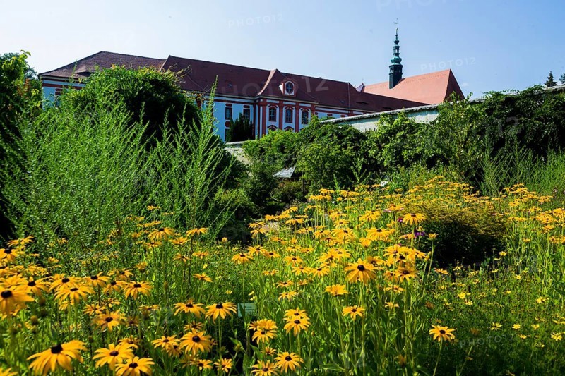 The Cistercian monastery of St Marienstern (sorb. Marijina HwÄ›zda) is located on the Klosterwasser in Panschwitz-Kuckau in Upper Lusatia in Saxony. Sankt Marienstern is one of the few religious houses that have served the same purpose since their foundation. Even today, 19 Cistercian nuns live and work in the monastery with Abbess Benedicta Waurick and, in addition to the solemn Liturgy of the Hours, pastoral care and work in the house and garden, they also dedicate themselves to the care, education and employment of disabled people who are accommodated in several residential areas. Parts of the monastery are freely accessible. These include: The monastery church, monastery garden, monastery museum, monastery restaurant and monastery shop. The cloister as the nuns' living space and the cloister are naturally not open to the public. Only for the 1st Saxon State Exhibition in 1998 did the convent open this area for the exhibition and its visitors, St. Mariestern Convent, convent garden,...