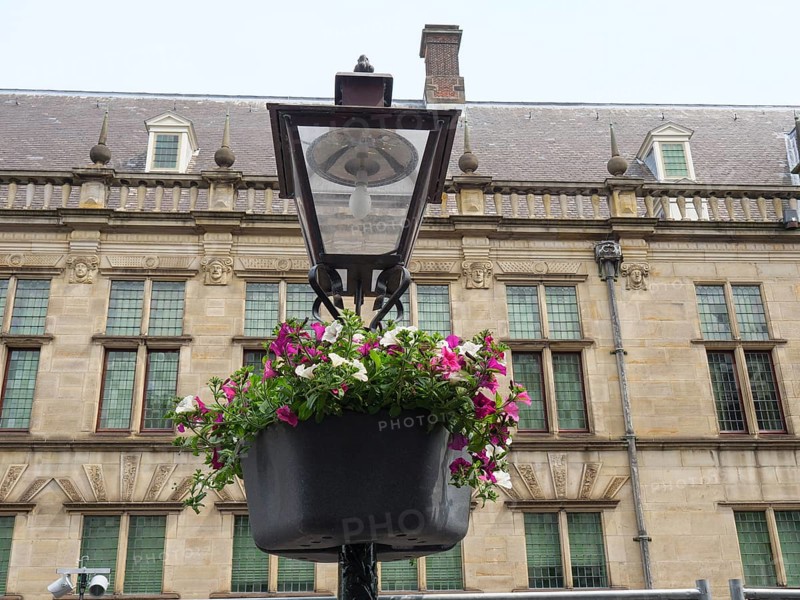 Flower basket on a historic black lantern in front of an old sandstone building, Leiden, Netherlands