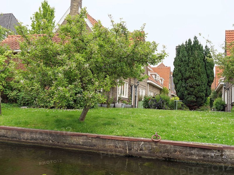 A well-kept lawn with trees and houses along a quiet canal, peaceful and green surroundings, Leiden, Netherlands