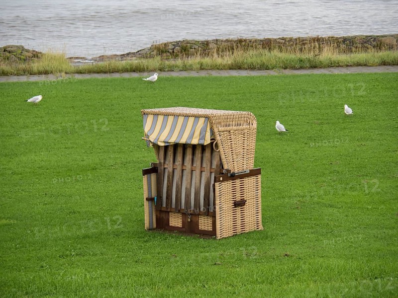 A single beach chair on a green meadow near the sea, surrounded by birds, cuxhaven, germany
