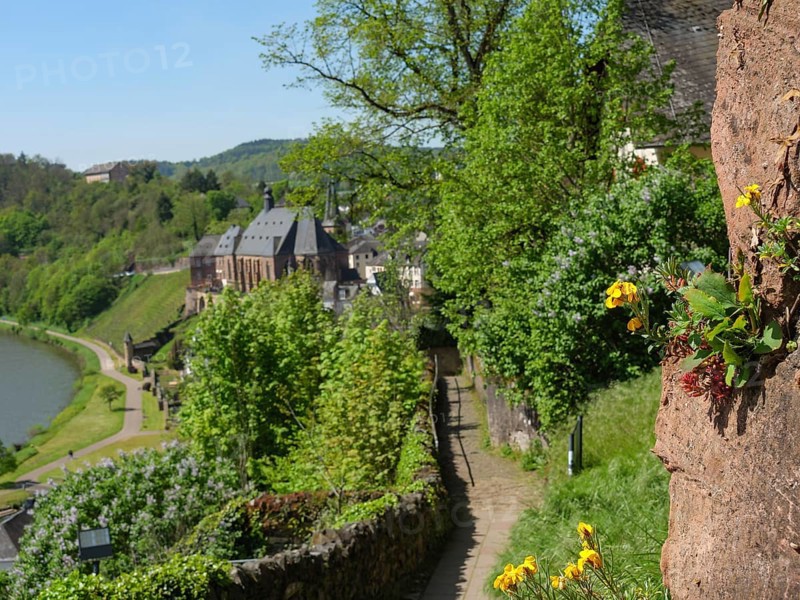 Narrow path with blooming flowers, green trees and views of houses in a medieval village, saarburg, germany