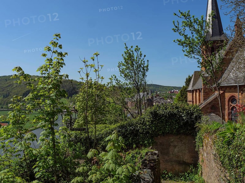 Church embedded in green vegetation and half-timbered houses in the sunshine, Saarburg, Germany, Europe