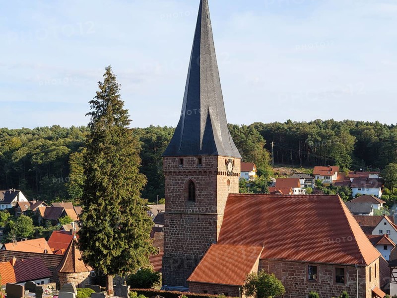Pointed church tower with red roof and surrounding village houses, surrounded by trees under a blue sky, Kandel, Palatinate, Germany, Europe