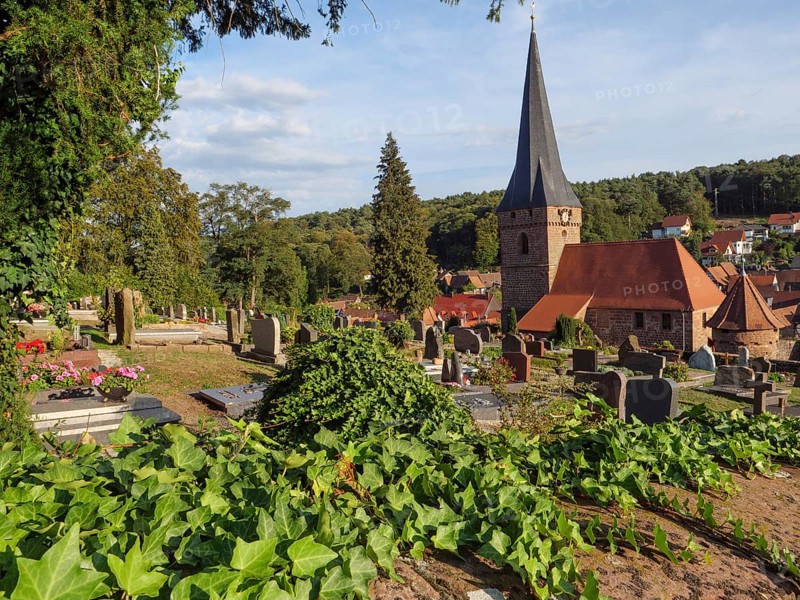 View of cemetery with gravestones and church tower in the background, surrounded by green vegetation and village houses, Kandel, Palatinate, Germany, Europe