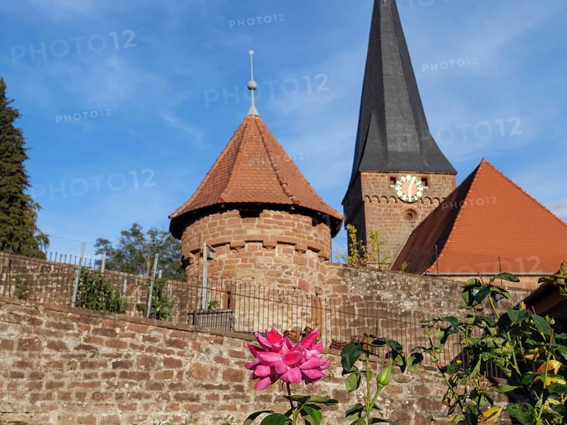 Historic church with striking tower and red roof, garden and flowers in the foreground, Kandel, Palatinate, Germany, Europe