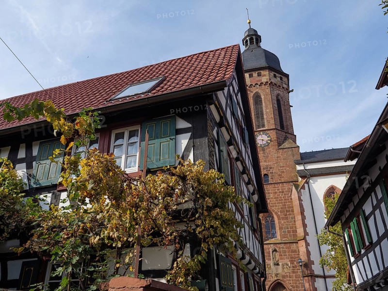 A half-timbered house with green shutters and autumnal vines next to a church, Kandel, Palatinate, Germany, Europe
