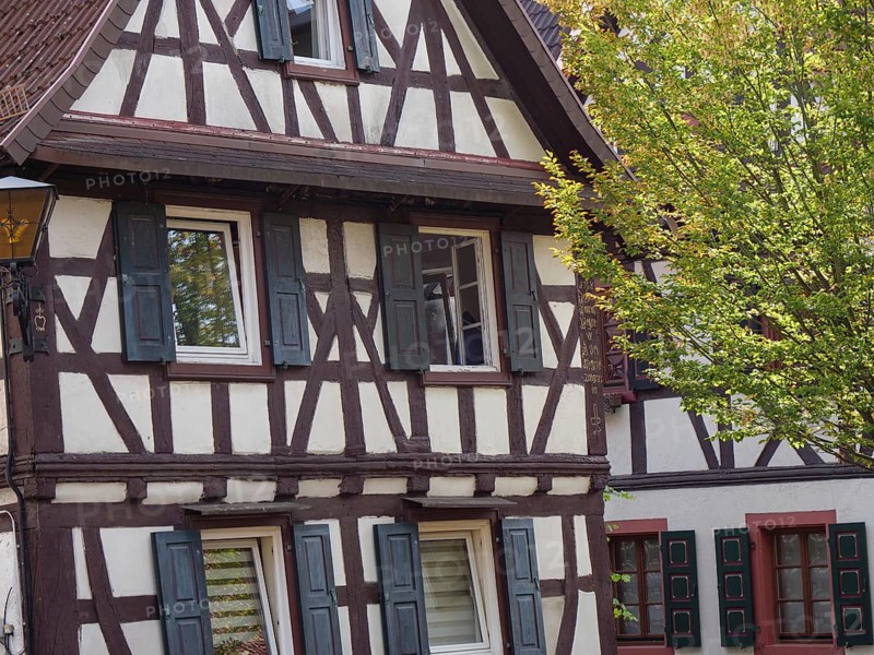 A historic half-timbered house with shutters, a tree in the foreground and autumnal colours, Kandel, Palatinate, Germany, Europe