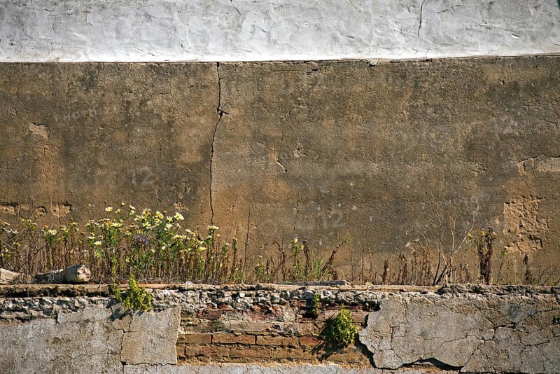 Detail of an abandoned house Detail of a ruined house