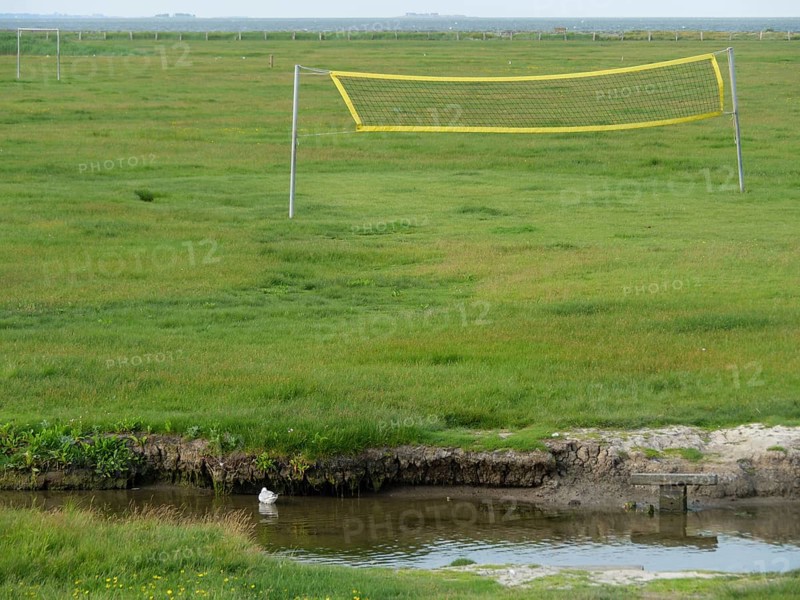 A volleyball net stands on a wide green field next to a small waterhole in the countryside, hallig hooge, schleswig-holstein, germany