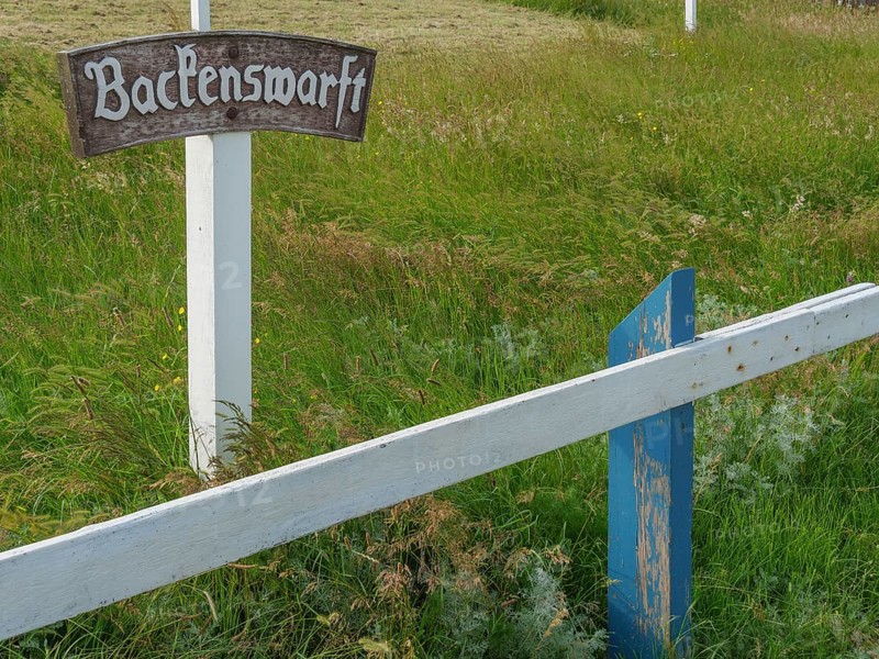 A signpost with the inscription 'Backenswarft' stands in a green and rural area, hallig hooge, schleswig-holstein, germany