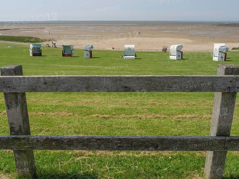 View over a green meadow with beach chairs and a wooden fence to a quiet sandy beach and the sea under a cloudless blue sky, hallig hooge, schleswig-holstein, germany