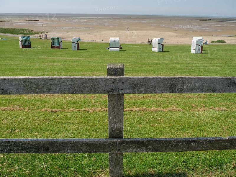 View over a green meadow with beach chairs and a wooden fence to a wide sandy beach and the sea in the background under a clear sky, hallig hooge, schleswig-holstein, germany