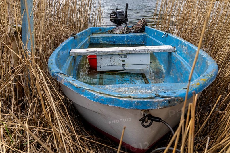 Small boat standing in the reeds, Rügen, Mecklenburg-Vorpommern, Germany, Europe