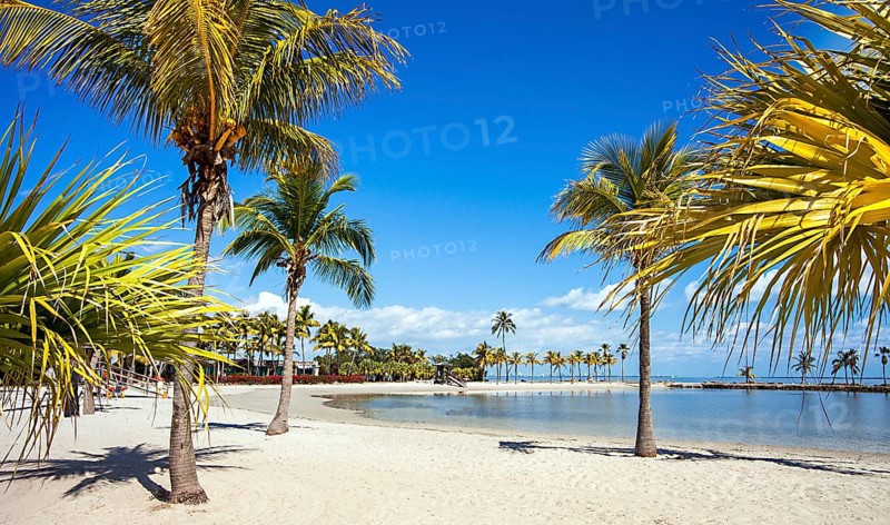 The Round Beach at Matheson Hammock County Park Miami Florida