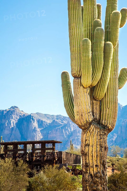 Apache Trail Arizona