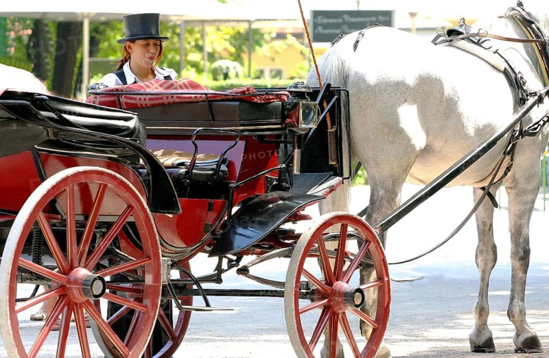 Carriage with coachwoman in the English Garden of Munich