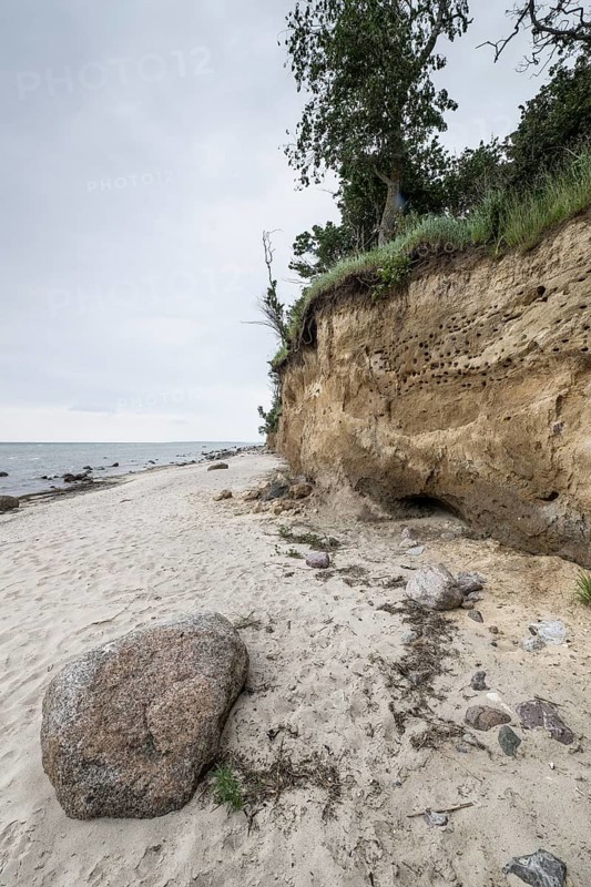 Steep coast, Poel Island, Mecklenburg-Western Pomerania, Germany, Europe