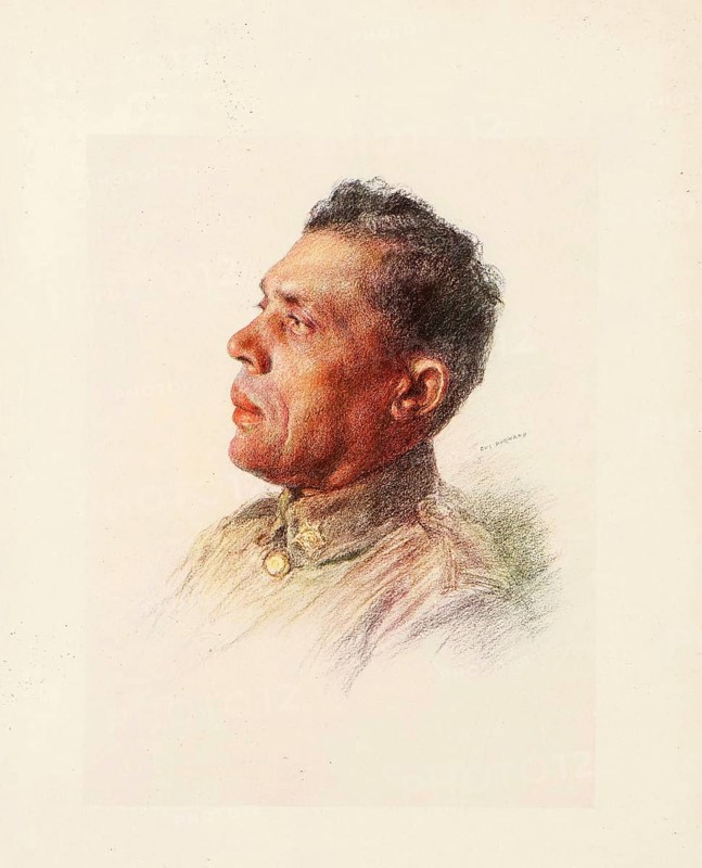 The Allies in the First World War, British Empire, Canadian soldier, CE Parker from Winnipeg, Historical, digitally restored reproduction from a 19th century original, Record date not stated