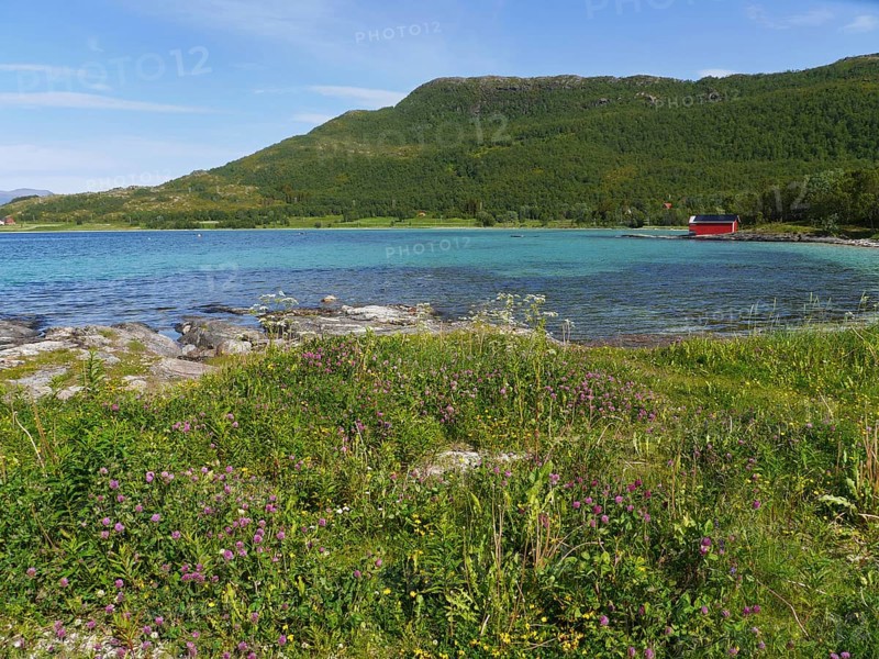 Tjeldsund Northern Norway