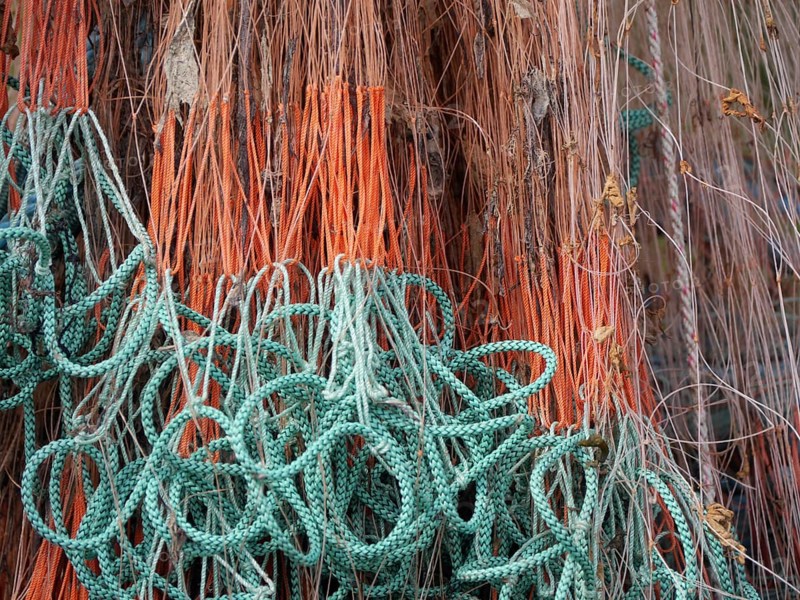 Fishing net
