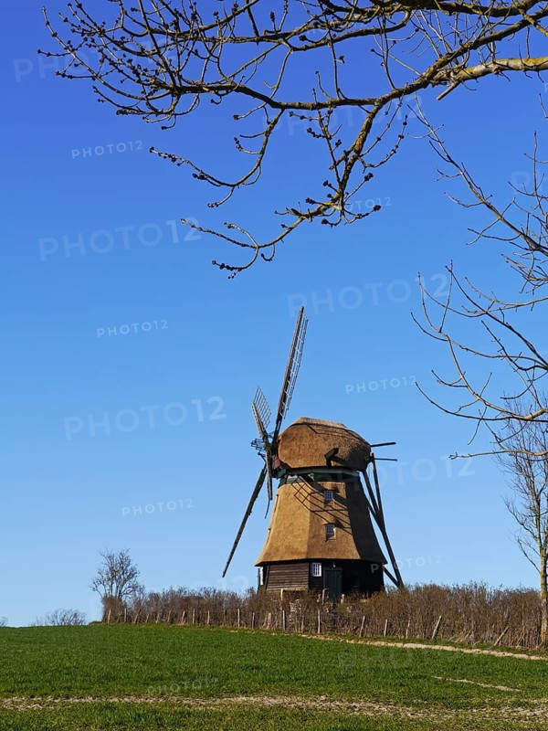 Windmill