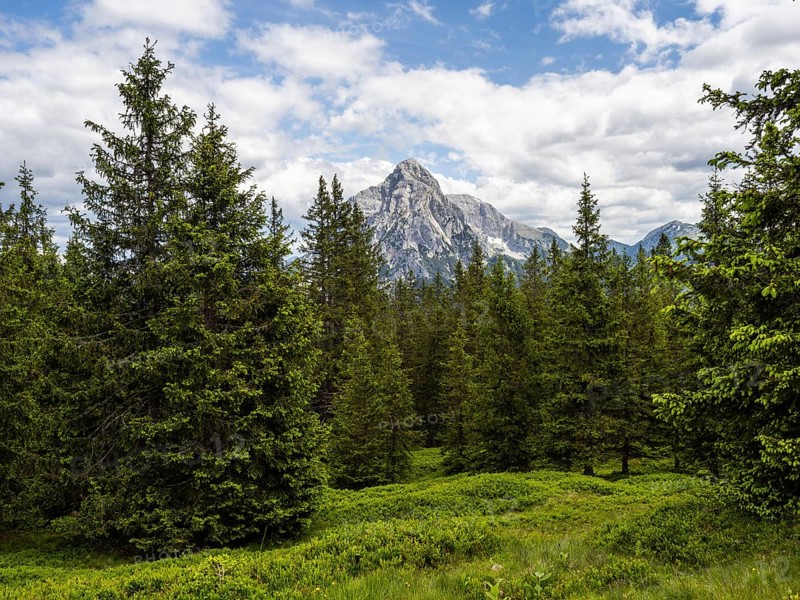 Mountain peaks and alpine landscape, Rottenmanner Tauern, Styria, Austria, Europe