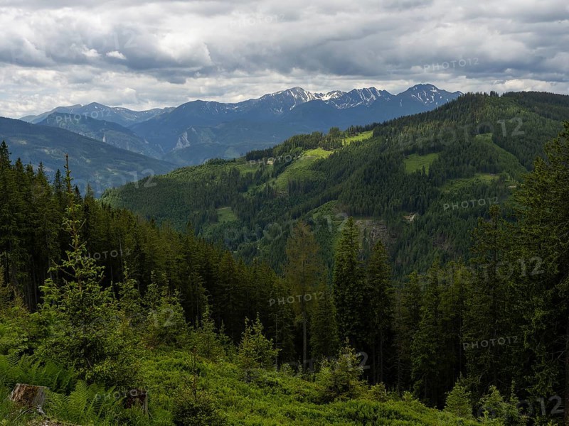 Forest landscape, mountain peak in the background, Rottenmanner Tauern, Styria, Austria, Europe