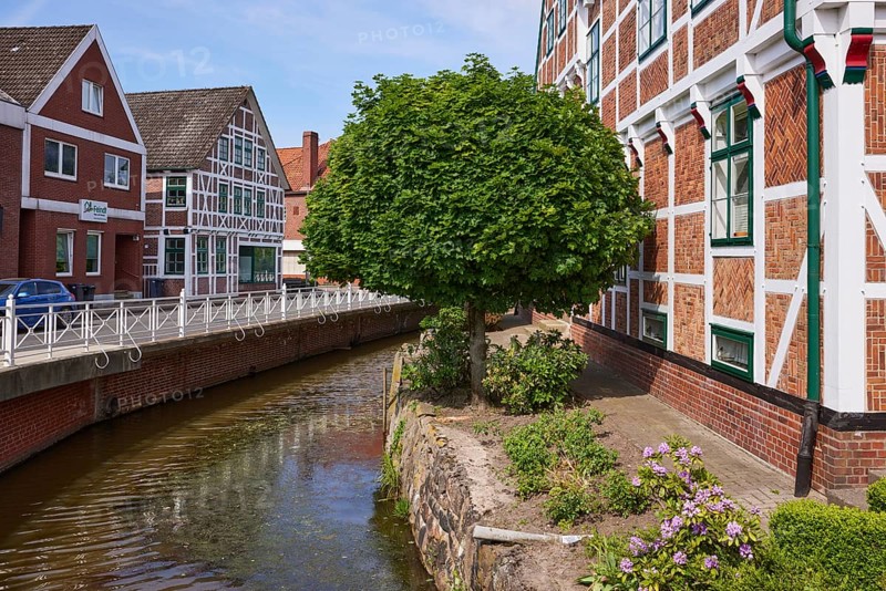 Ditch Jorker Hauptwettern and Norway maple (Acer platanoides) in front of the town hall in Jork, Altes Land, district of Stade, Lower Saxony, Germany, Europe